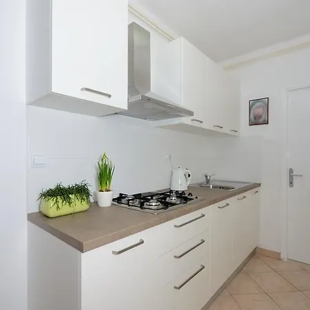 Ljubica 141